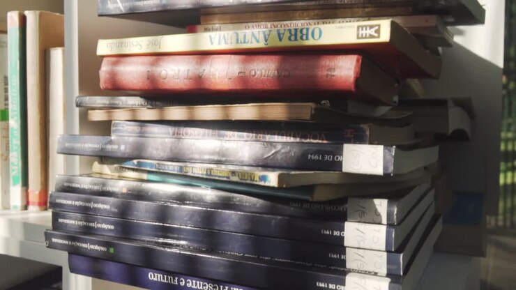 Stacked Books on a Shelf