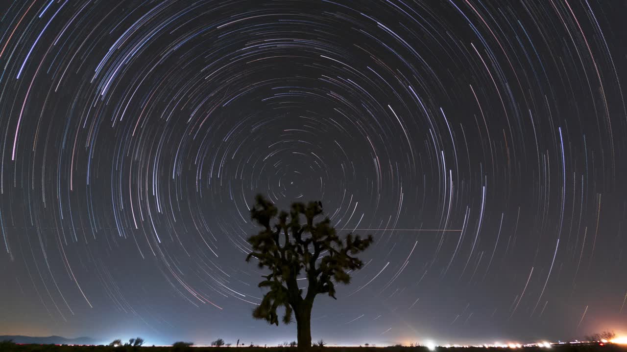 las estrellas hacen senderos circulares de luz en el cielo nocturno del desierto de mojave con la silueta de un árbol de joshua en primer plano - lapso de tiempo de exposición largo