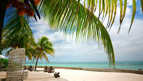 Timelapse-static-shot-of-tropical-beach-resort-at-the-seaside-with-palm-trees