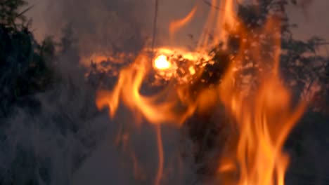 slow motion fire flame burning on sunset is beautiful dark background