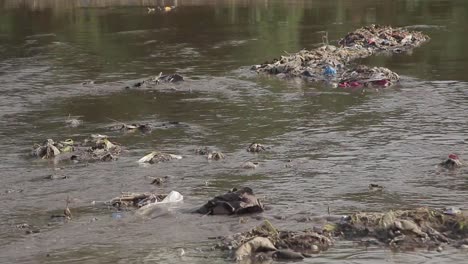 residuos de basura arrojados al río en un destino de tugurios en pakistán