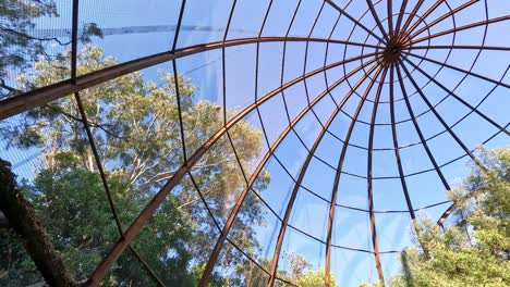 view of birdcage dome and trees