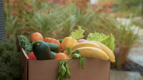 Delivery-box-with-vegetables