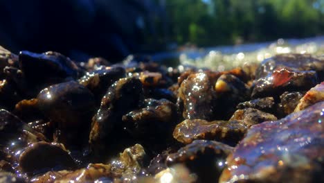 Nahaufnahme-Von-Kleinen-Steinen-An-Einem-Felsigen-Strand,-Die-überflutet-Sind,-Während-Eine-Kleine-Welle-über-Sie-Hinwegspült