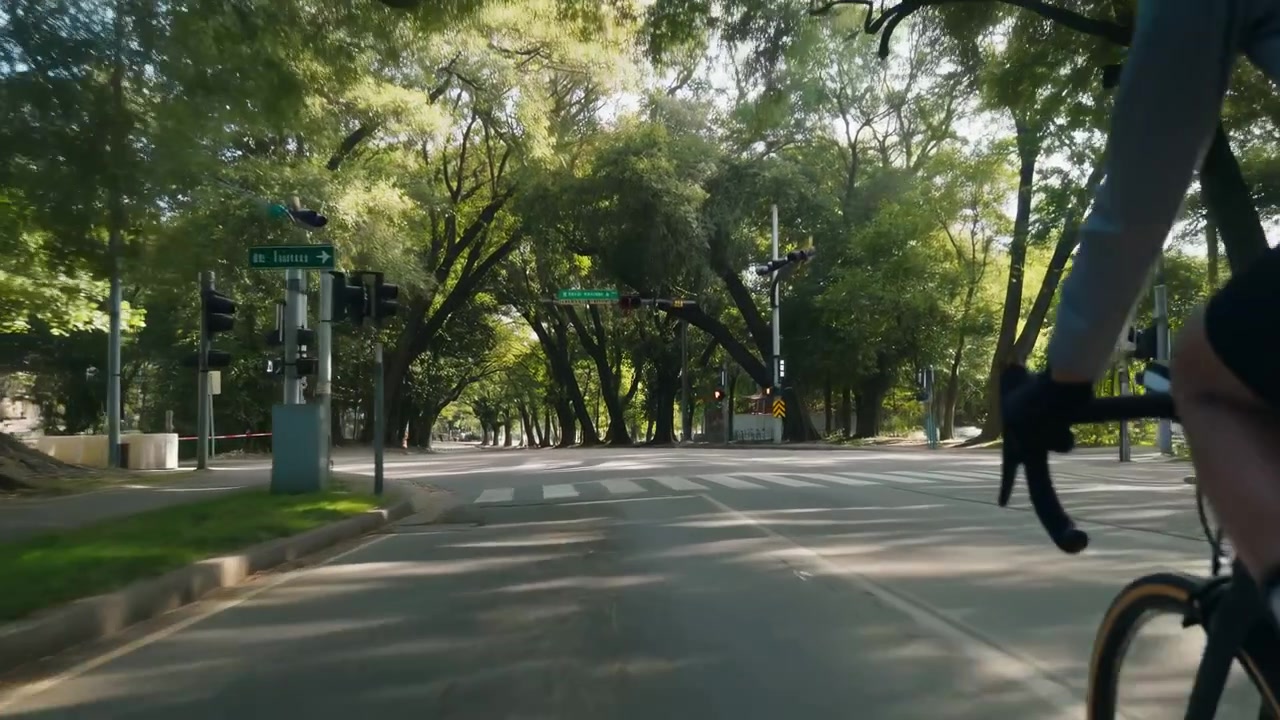 Un cycliste roule le long d'une route urbaine calme bordée d'arbres sous une dense canopée verte, vu d'un angle bas au bord de la route avec des ombres ensoleillées, une légère courbe, des éléments de circulation à proximité, un trajet urbain calme