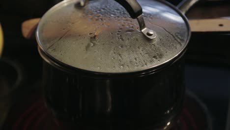 a simmering hot pot in the kitchen - close up shot