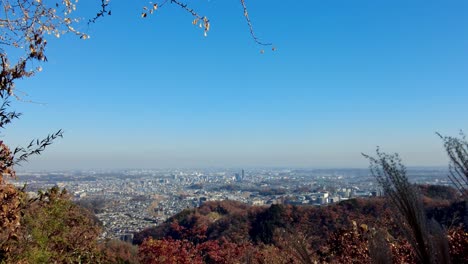 excursión de un día al monte takao: explore la montaña favorita de tokio