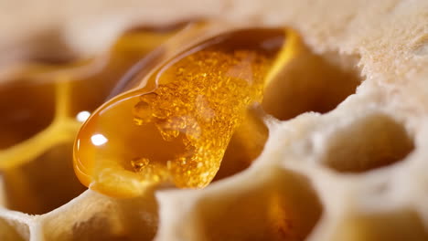 golden honey on honeycomb macro close-up