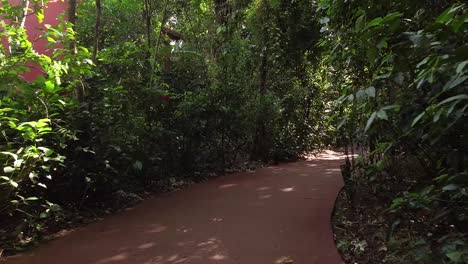 Hermosa-Ruta-De-Senderismo,-Caminando-Por-La-Selva-Tropical-Con-Clima-Soleado,-Argentina,-Sudamérica
