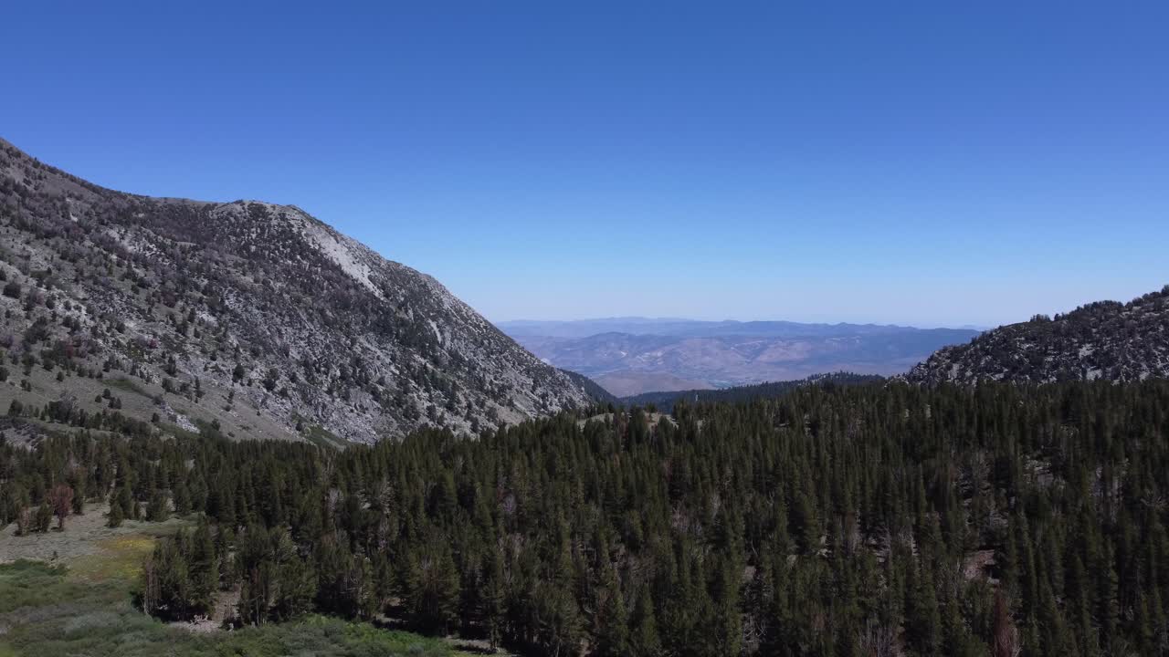 toma aérea que revela un vasto valle y montañas imponentes detrás de los árboles en el bosque