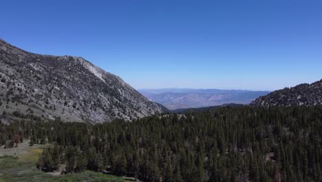 aerial shot revealing a vast valley and towering mountains from behind trees in the forest