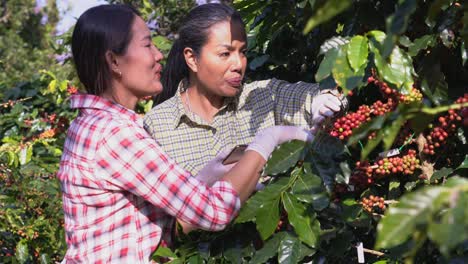 scholars in government and agricultural policy work for determining the optimal cropping pattern off agricultural crops. checking the quality of farmers' produce.