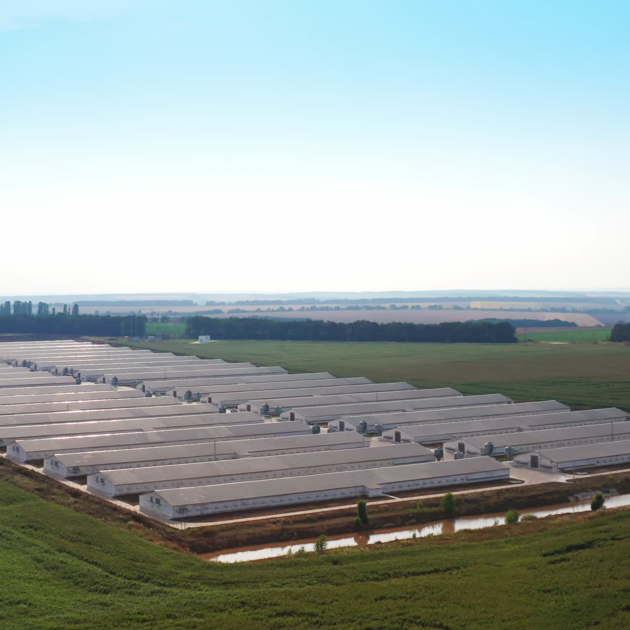 Farming business located in the farmlands. Abundant farm territory for rearing domestic animals. Aerial view