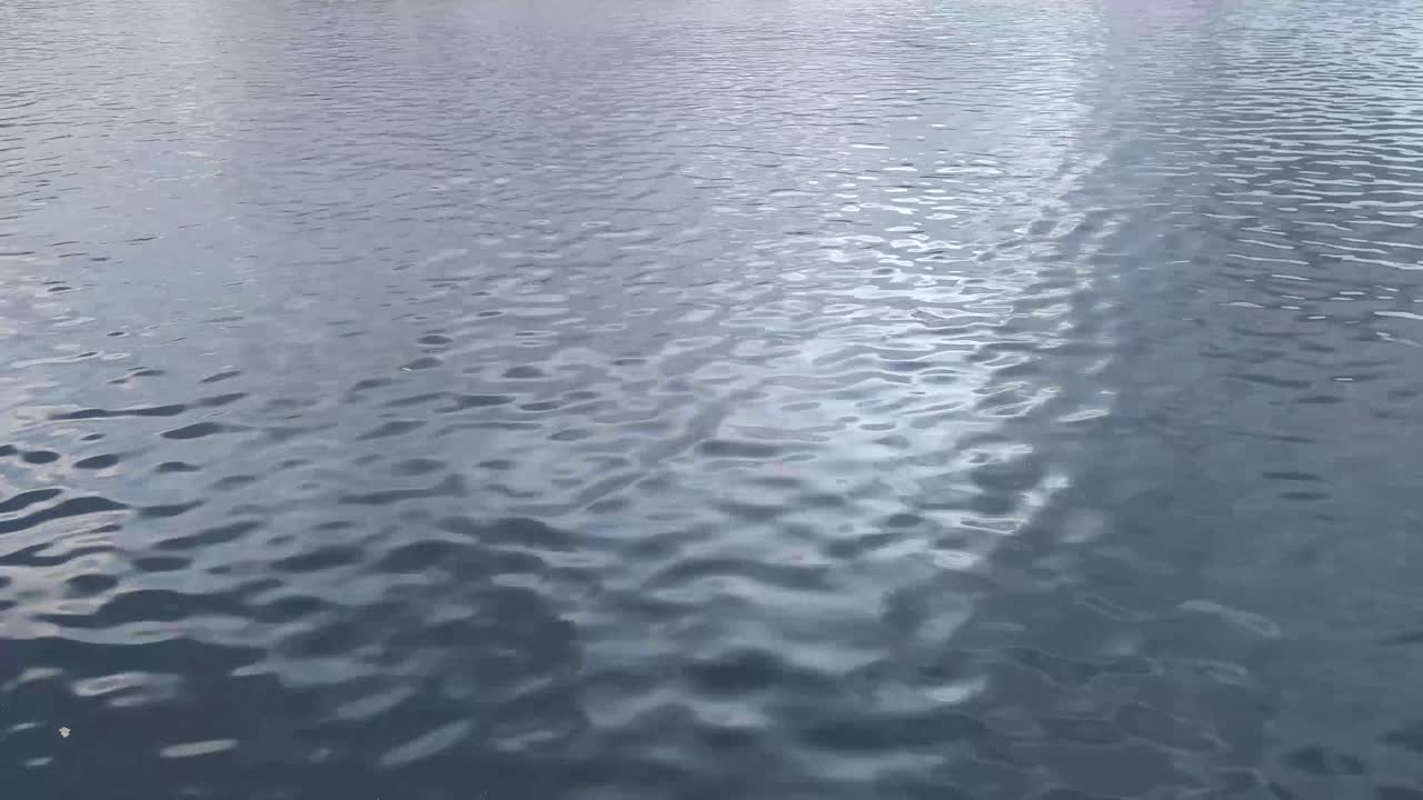 바다 표면의 규칙적인 파도와 잔물결