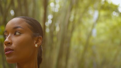 amazing close up of a pretty face model in a bamboo cathedral