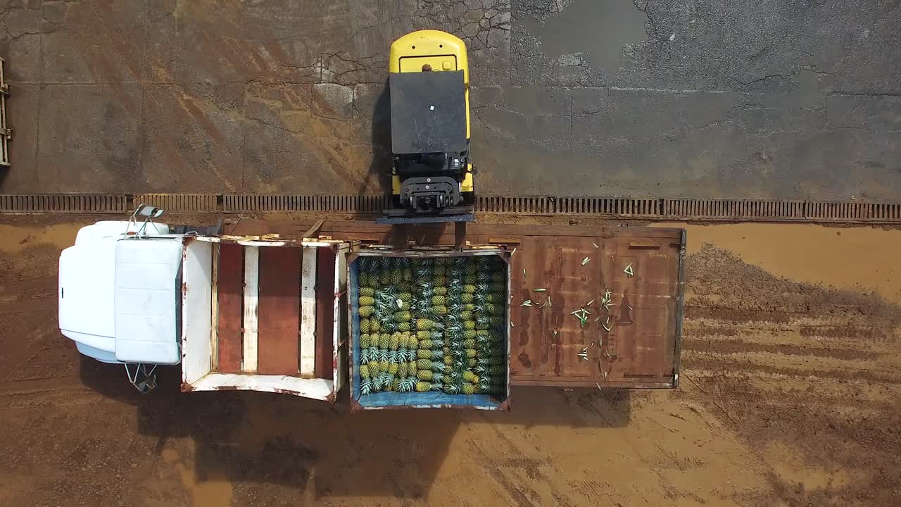 Lifting load of pineapples from truck to warehouse for shipping, Upala in Costa Rica