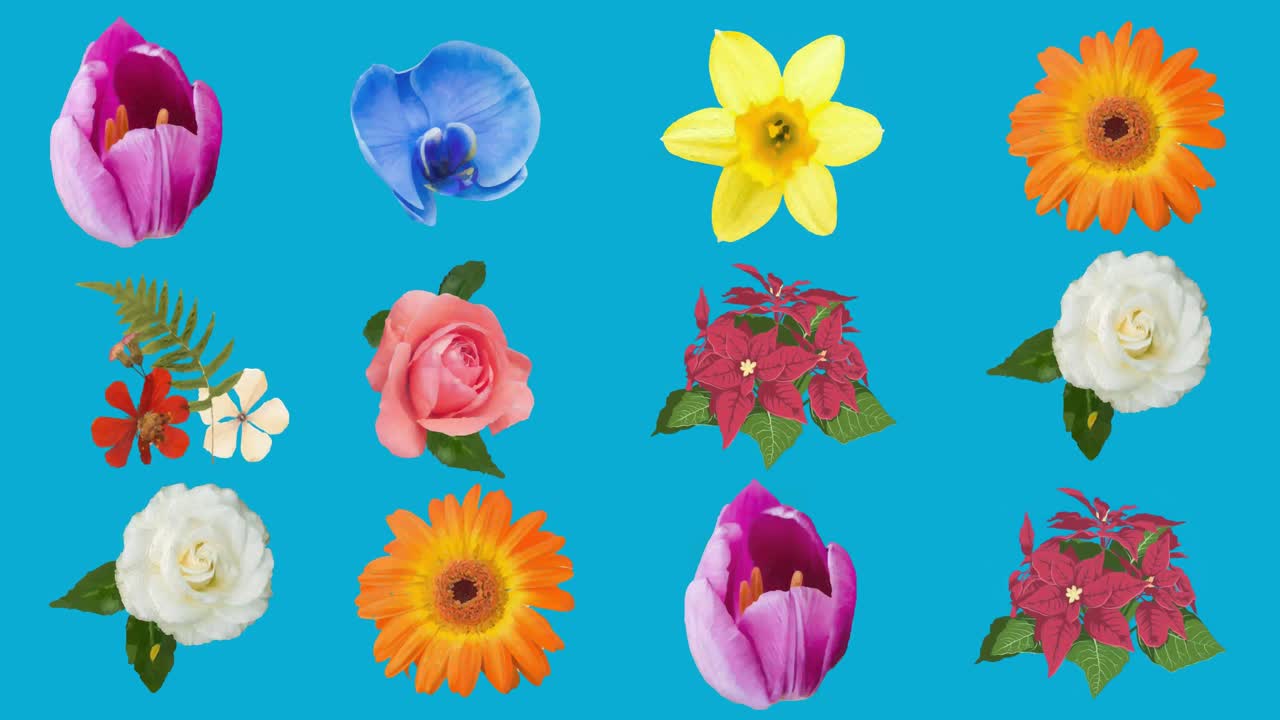 animación de flores que se mueven en movimiento hipnótico sobre un fondo azul
