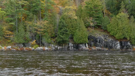 strong river current carries water along the rocky shores of a mixed forest in fall