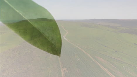 aerial view, animation showing expansive green landscape with winding path