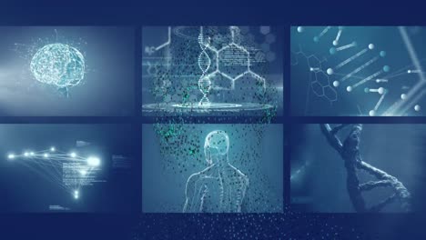 animation of digital human and data processing on blue background