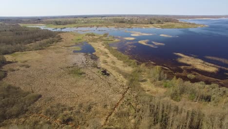 llanuras de praderas inundadas en el lago burtnieks nivel alto de agua a principios de la primavera