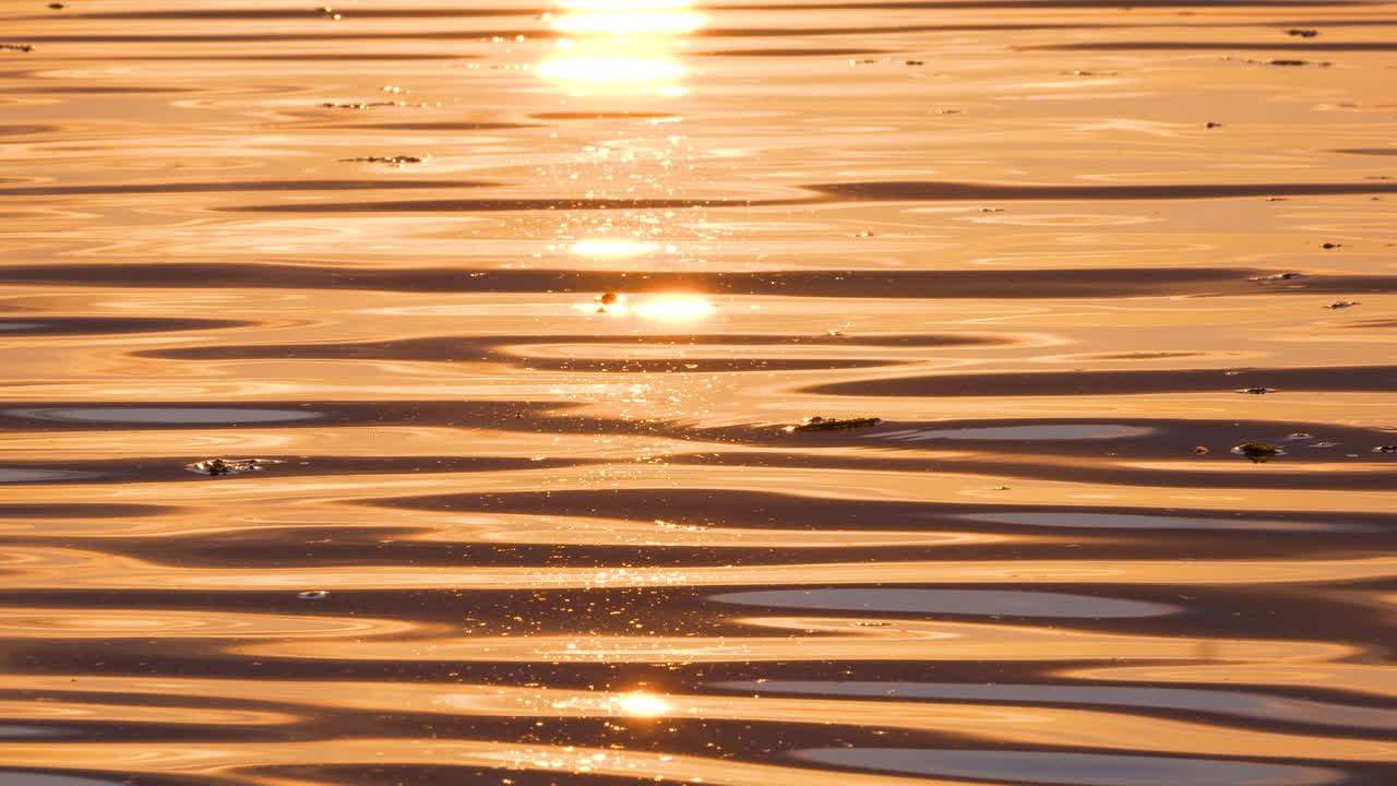 Abstract close-up of water surface at golden sunrise, featuring rhythmic ripples and reflections