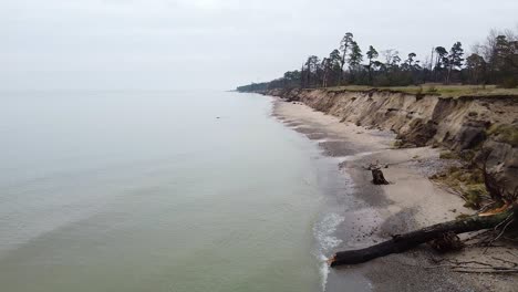 aerial view of baltic sea coast in overcast spring day, steep seashore dunes and fallen pine trees damaged by waves, coastal erosion, climate changes, low angle revealing drone shot moving backwards