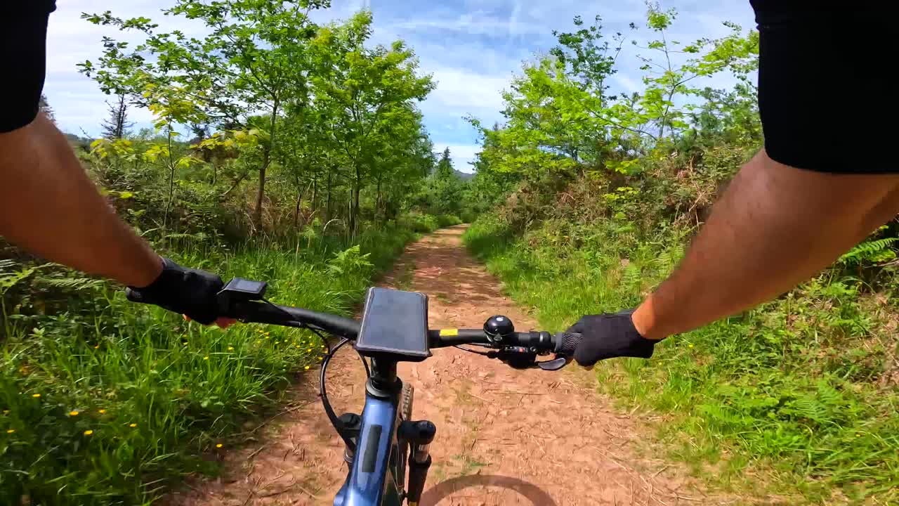 Mountain Biking on a Forest Trail