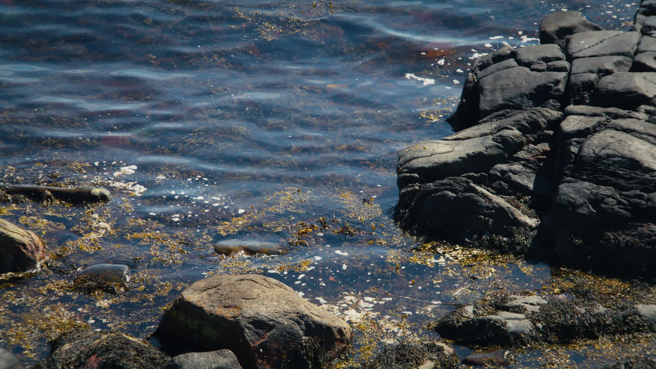 Primo piano al rallentatore di piccole onde che si muovono verso la costa rocciosa circondata da alghe sottomarine nel Parco Nazionale di Raet, in Norvegia, in una giornata di sole.
