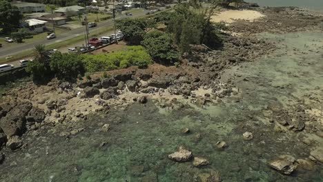 Luftaufnahme-Von-Schwimmern,-Die-Das-Klare-Wasser-In-Sharks-Cove-3-Genießen