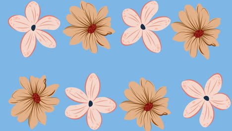 animation of pink flowers spinning on purple background