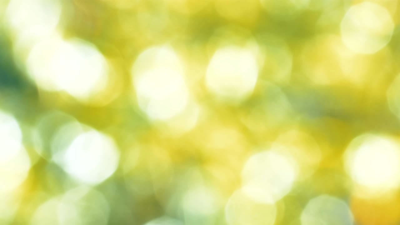 빛 노란색 바이오 배경, 추상적인 흐릿한 잎자루 빛