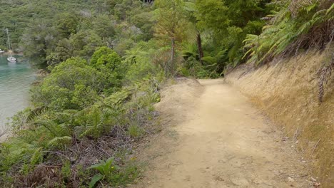 Downhill-walk-on-dirt-track-with-view-of-boats-at-anchor-in-beautiful-secluded-cove---Camp-Bay-Coastal-Track,-Punga-Cove