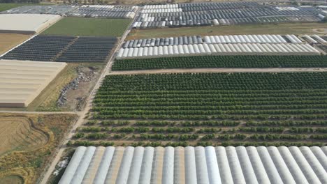 aldeas tkuma en el distrito sur sdot negev, israel - תקומה שדות נג?