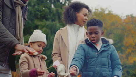 Family-toasting-marshmallows-standing-around-firepit-or-barbeque-in-garden-at-home---shot-in-slow-motion