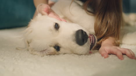 Child Playing with a Puppy