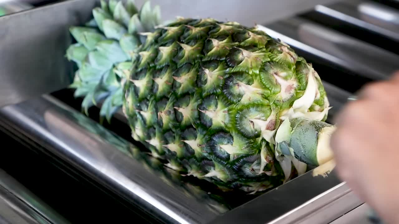 12-35 f2로 gh5에 탄 컨베이어 벨트의 파인애플