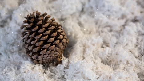 animation of snow falling over pine cone