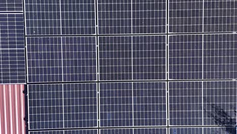 solar panels on rooftop, top down aerial view. insects flying