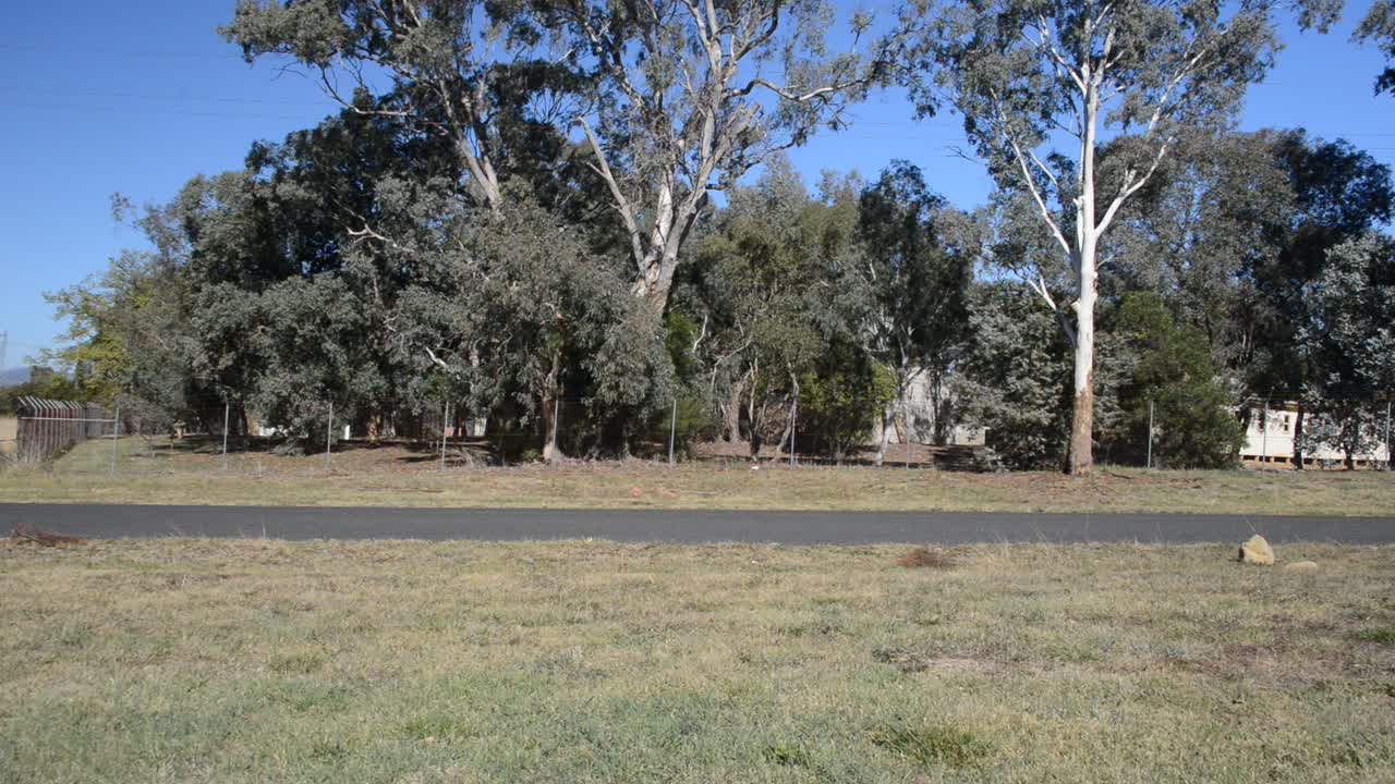 Pig and rabbit masked men getting out of car with weapons, walking towards another car