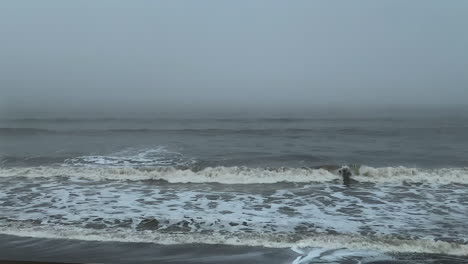 misty grey sky above gloomy ocean waves at the seaside beach