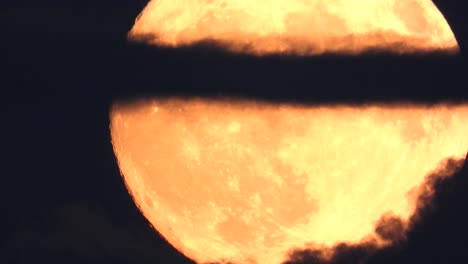 vista de cerca de la luna en un cielo oscuro