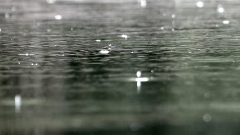raindrops falling on the pond