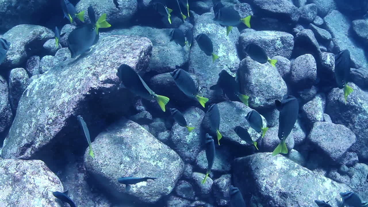 멕시코 다이빙 0 20