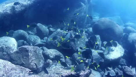 Buceo-en-México-0-20