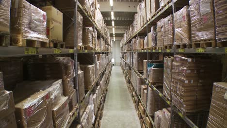 warehouse interior showing long rows of shelves packed with palletized goods, tilting downward for full aisle view