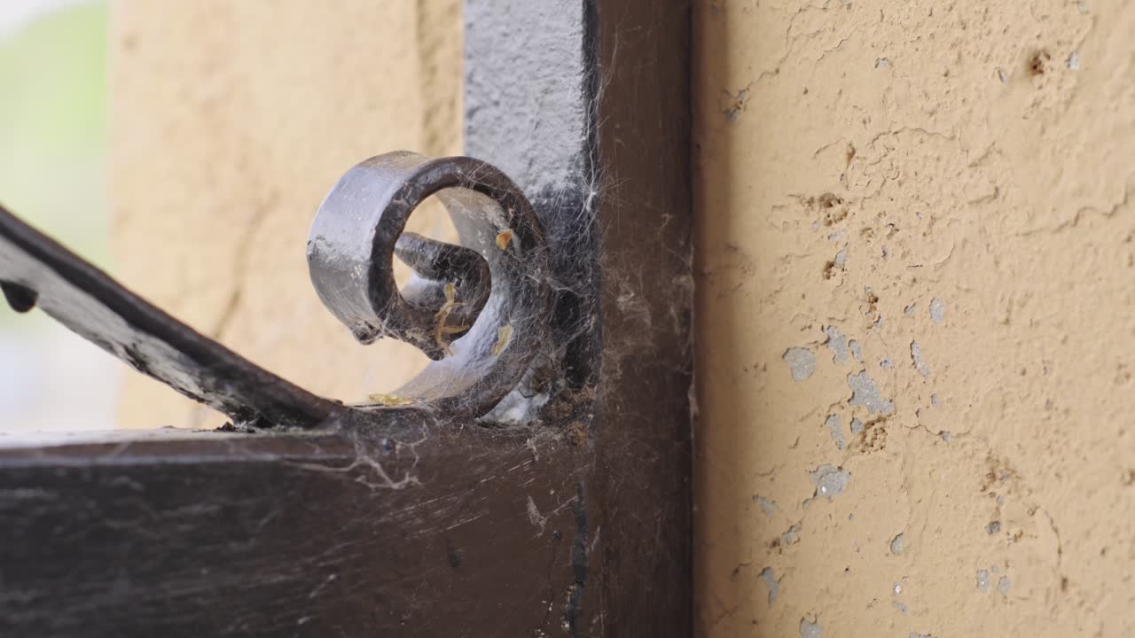 Støvet og rustent sort metalspiral dækket af spindelvæv, nærbillede.