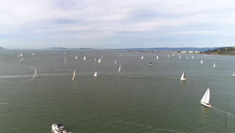 sailboats in the san francisco bay