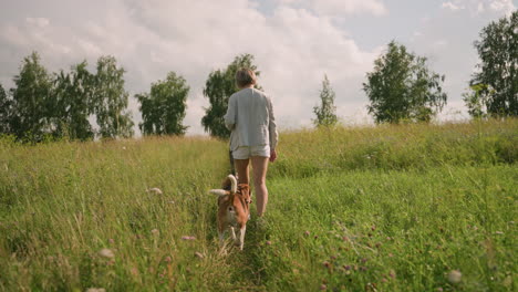 dog owner walking with her dog on leash in grassy field while second dog follows behind, enjoying peaceful stroll through nature on sunny day, surrounded by vibrant green grass and trees