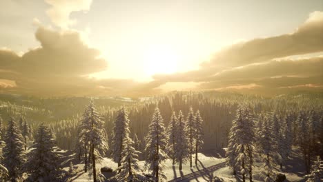 paisaje de invierno con puesta de sol de montaña brumosa